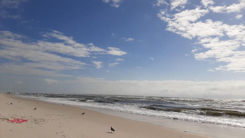La spiaggia bianchissima di Pensacola, Orange Beach in Alabama - Usa - RIPRODUZIONE RISERVATA